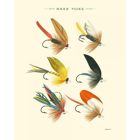 Bass Flies I White Modern Wood Framed Art Print by Vision Studio