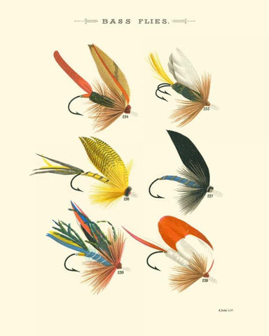 Bass Flies I White Modern Wood Framed Art Print with Double Matting by Vision Studio