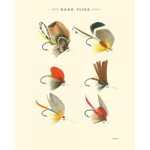 Bass Flies II White Modern Wood Framed Art Print by Vision Studio