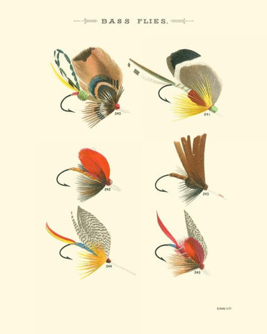 Bass Flies II White Modern Wood Framed Art Print with Double Matting by Vision Studio