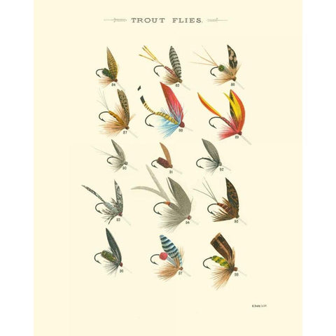 Trout Flies I White Modern Wood Framed Art Print by Vision Studio
