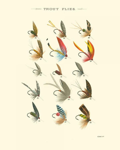 Trout Flies I White Modern Wood Framed Art Print with Double Matting by Vision Studio