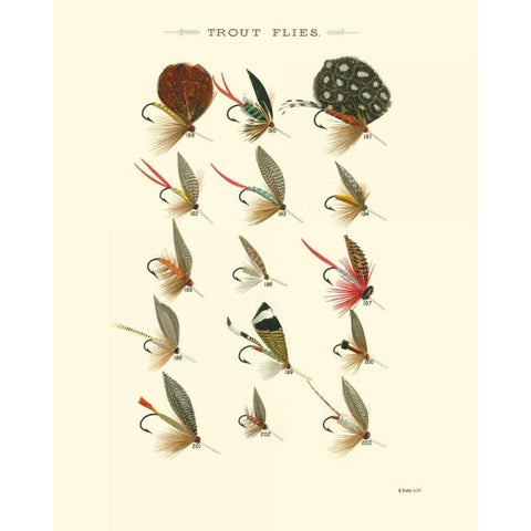 Trout Flies II White Modern Wood Framed Art Print by Vision Studio