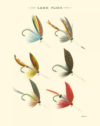 Lake Flies II Black Ornate Wood Framed Art Print with Double Matting by Vision Studio