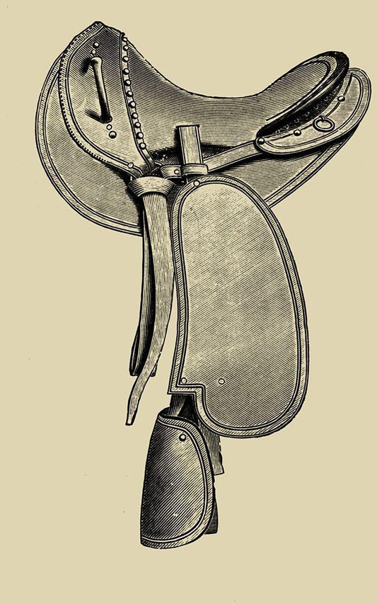 Image Only