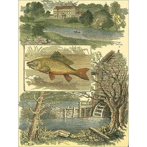 Fishermans Vignette I Gold Ornate Wood Framed Art Print with Double Matting by Vision Studio