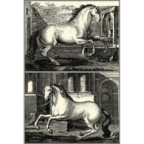 Galloping Horses II Black Modern Wood Framed Art Print by unknown