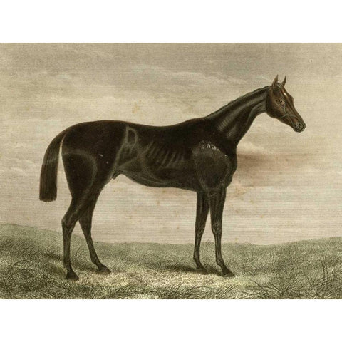 Pretender Gold Ornate Wood Framed Art Print with Double Matting by unknown