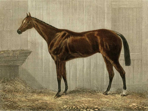 Blue Crown White Modern Wood Framed Art Print with Double Matting by unknown