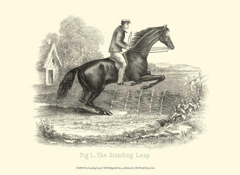 The Standing Leap Black Ornate Wood Framed Art Print with Double Matting by unknown