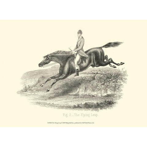 The Flying Leap Gold Ornate Wood Framed Art Print with Double Matting by unknown