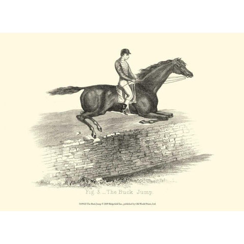 The Buck Jump Gold Ornate Wood Framed Art Print with Double Matting by unknown