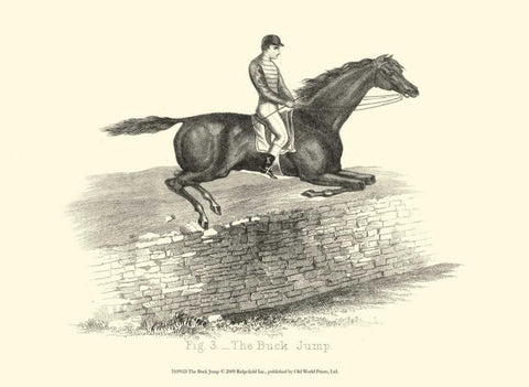 The Buck Jump Black Ornate Wood Framed Art Print with Double Matting by unknown