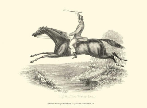 The Water Leap Black Ornate Wood Framed Art Print with Double Matting by unknown