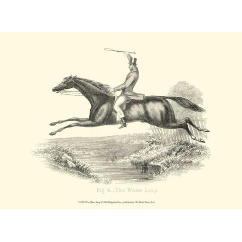 The Water Leap Black Modern Wood Framed Art Print with Double Matting by unknown