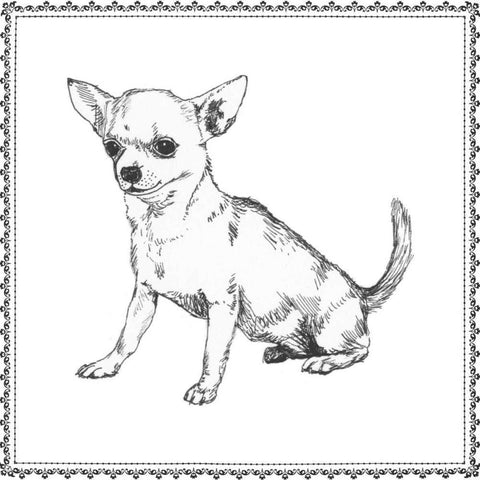 Best in Show II Black Modern Wood Framed Art Print with Double Matting by Meagher, Megan