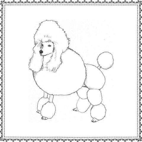 Best in Show III White Modern Wood Framed Art Print by Meagher, Megan