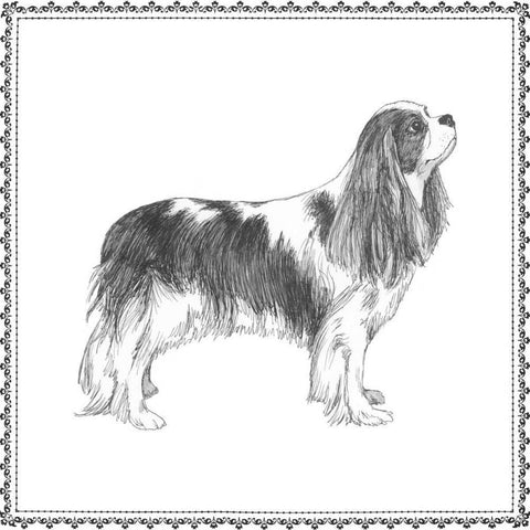 Best in Show IV Black Modern Wood Framed Art Print by Meagher, Megan