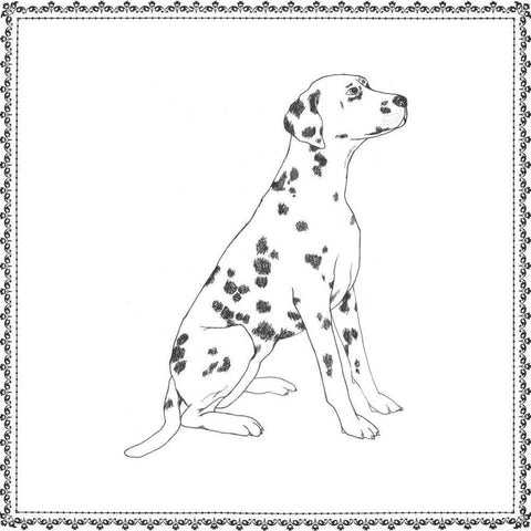 Best in Show V Black Modern Wood Framed Art Print with Double Matting by Meagher, Megan