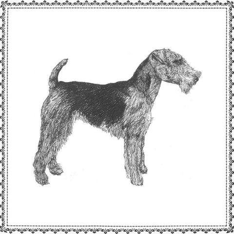 Best in Show VIII White Modern Wood Framed Art Print by Meagher, Megan