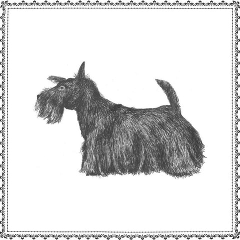 Best in Show IX Black Ornate Wood Framed Art Print with Double Matting by Meagher, Megan