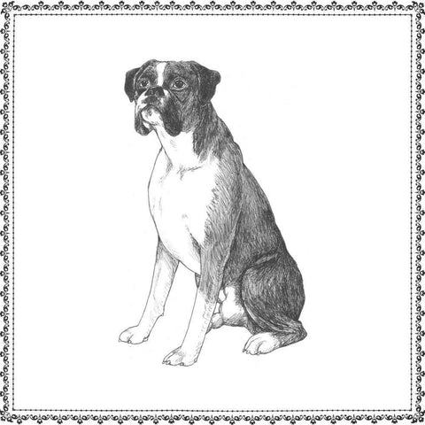 Best in Show XI Black Modern Wood Framed Art Print by Meagher, Megan