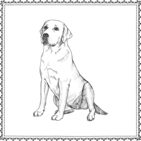 Best in Show XII White Modern Wood Framed Art Print by Meagher, Megan