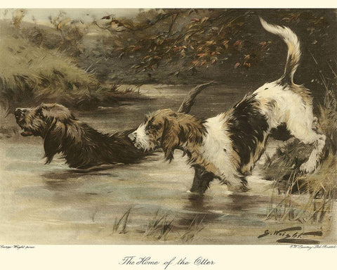 The Home of the Otter White Modern Wood Framed Art Print with Double Matting by Wright, George