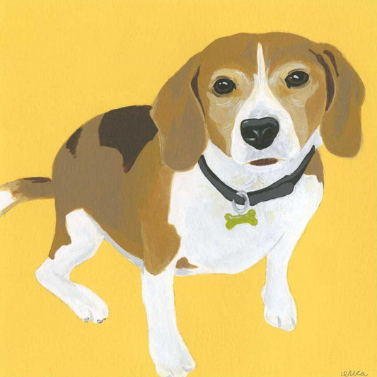 Image Only