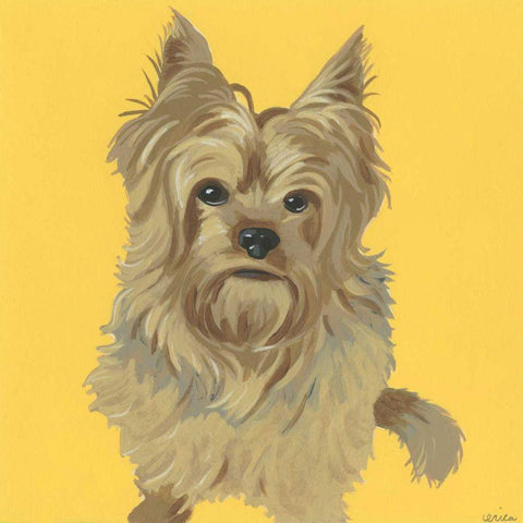 Buster White Modern Wood Framed Art Print by Vess, June Erica