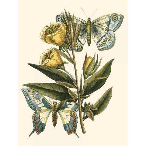 Butterfly Oasis II Gold Ornate Wood Framed Art Print with Double Matting by Vision Studio