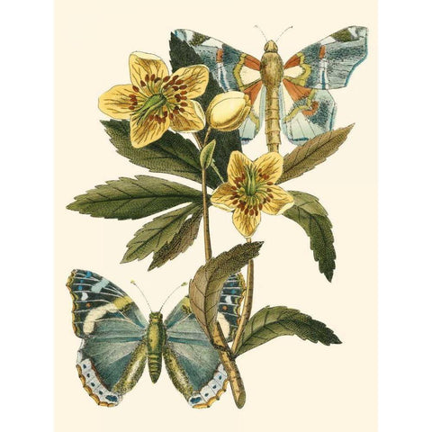 Butterfly Oasis III Gold Ornate Wood Framed Art Print with Double Matting by Vision Studio