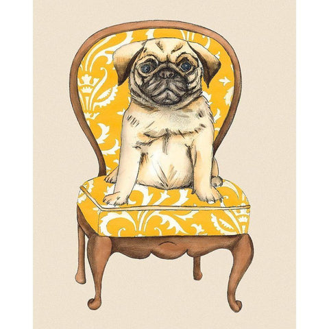 Pampered Pet I White Modern Wood Framed Art Print by Zarris, Chariklia