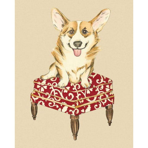 Pampered Pet III Gold Ornate Wood Framed Art Print with Double Matting by Zarris, Chariklia