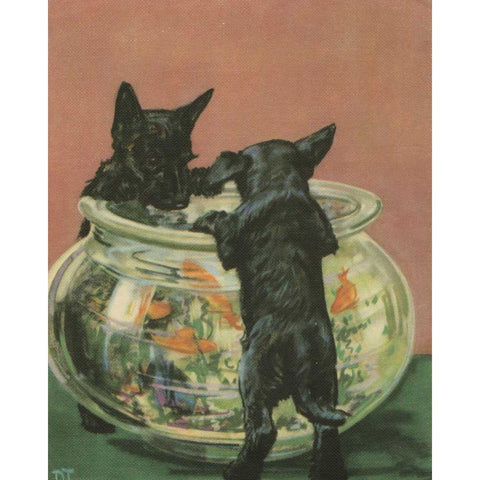 Terrier Trouble VI Black Modern Wood Framed Art Print with Double Matting by Unknown