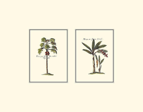 Miniature Palm I Black Ornate Wood Framed Art Print with Double Matting by Vision Studio