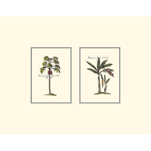 Miniature Palm I Gold Ornate Wood Framed Art Print with Double Matting by Vision Studio