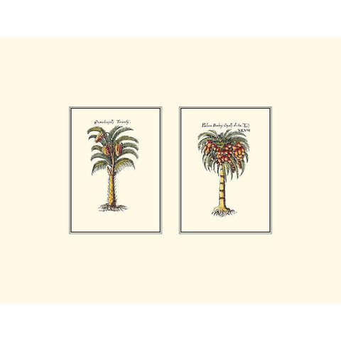 Miniature Palm II Gold Ornate Wood Framed Art Print with Double Matting by Vision Studio