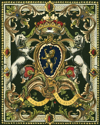 Crest on Black I Black Ornate Wood Framed Art Print with Double Matting by Vision Studio