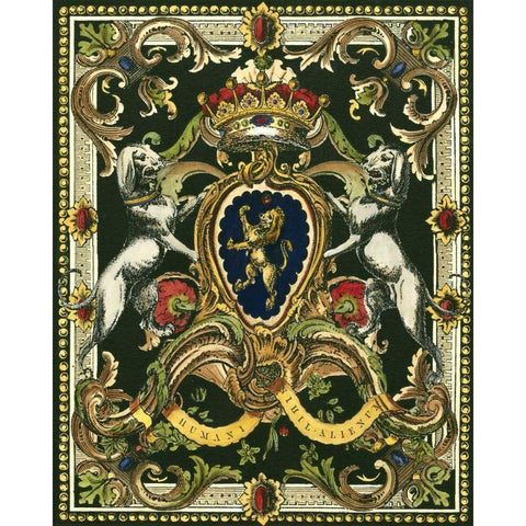 Crest on Black I Black Modern Wood Framed Art Print with Double Matting by Vision Studio