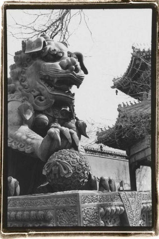Imperial Lion, Beijing Black Ornate Wood Framed Art Print with Double Matting by DeNardo, Laura