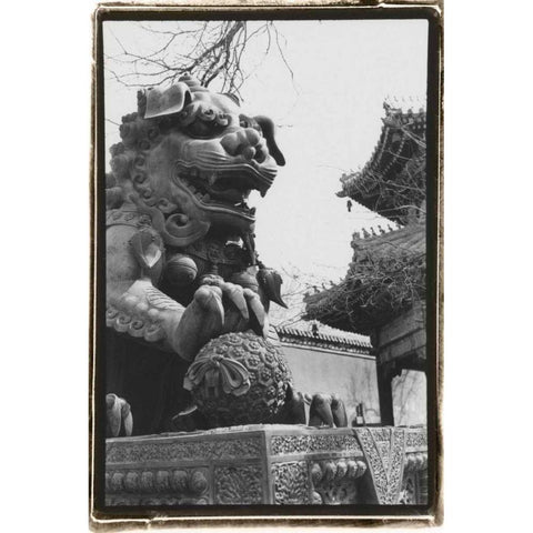 Imperial Lion, Beijing Black Modern Wood Framed Art Print by DeNardo, Laura