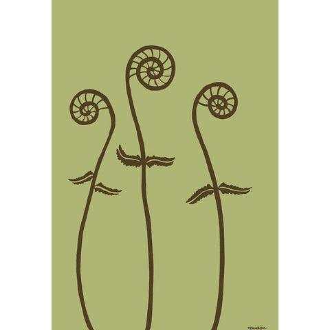 Dichromatic Fiddleheads I White Modern Wood Framed Art Print by Lam, Vanna