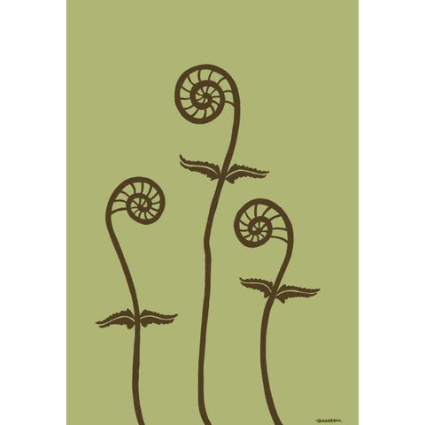 Dichromatic Fiddleheads III Black Modern Wood Framed Art Print with Double Matting by Lam, Vanna