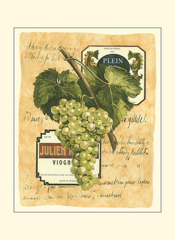 Small White Grapes I Black Ornate Wood Framed Art Print with Double Matting by Vision Studio