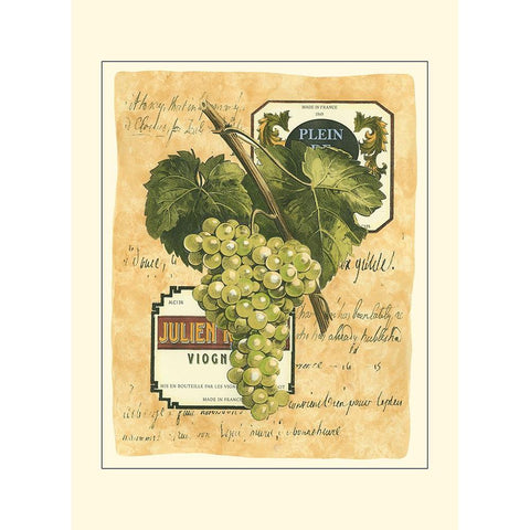 Small White Grapes I White Modern Wood Framed Art Print by Vision Studio