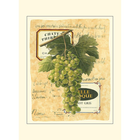 Small White Grapes II Black Modern Wood Framed Art Print with Double Matting by Vision Studio