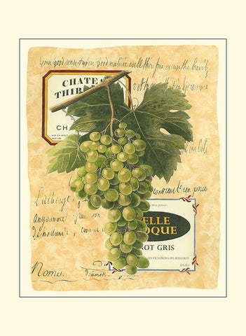 Small White Grapes II White Modern Wood Framed Art Print with Double Matting by Vision Studio