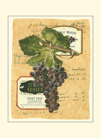 Small Red Grapes I White Modern Wood Framed Art Print with Double Matting by Vision Studio