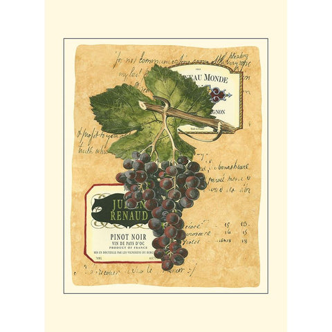 Small Red Grapes I Gold Ornate Wood Framed Art Print with Double Matting by Vision Studio